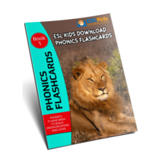 Phonics-Flashcards-Ebook-1-Large