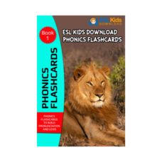 Phonics-Flashcards-Ebook-1-Large-2D