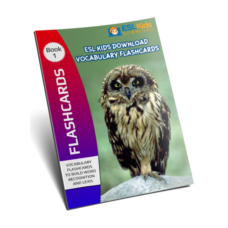 Vocabulary-Flashcards-Ebook-1-Large