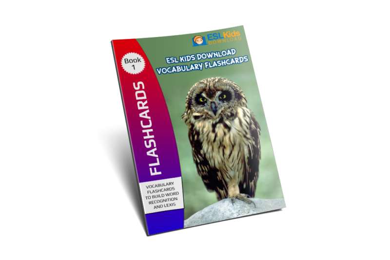 Vocabulary Flashcards E-book 1