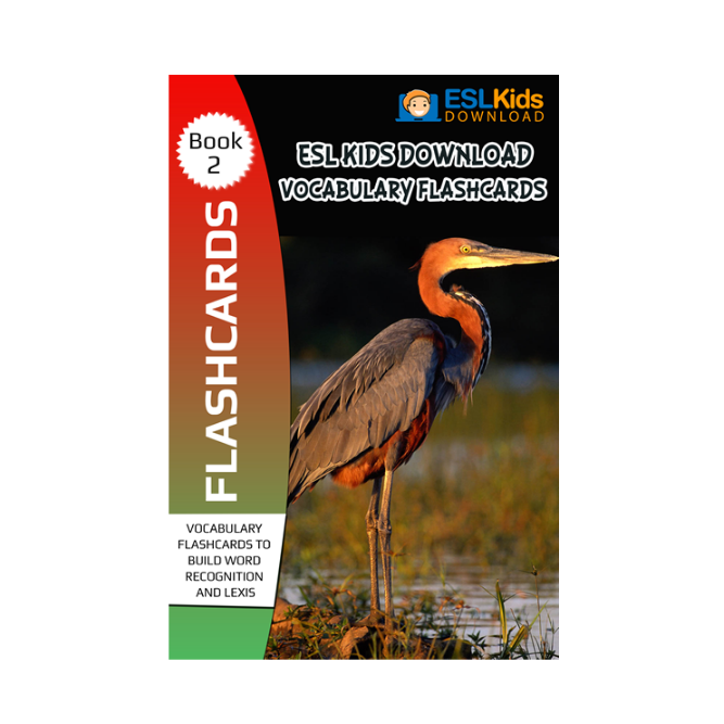 Flashcards-Ebook-2-Large-2D