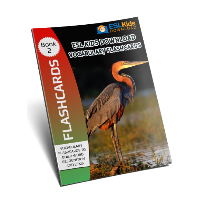 Flashcards-Ebook-2-Large Flashcards-Ebook-2-Large