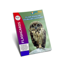 Flashcard E-Books